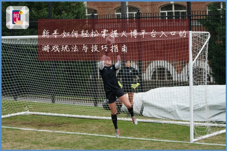 新手如何轻松掌握火博平台入口的游戏玩法与技巧指南