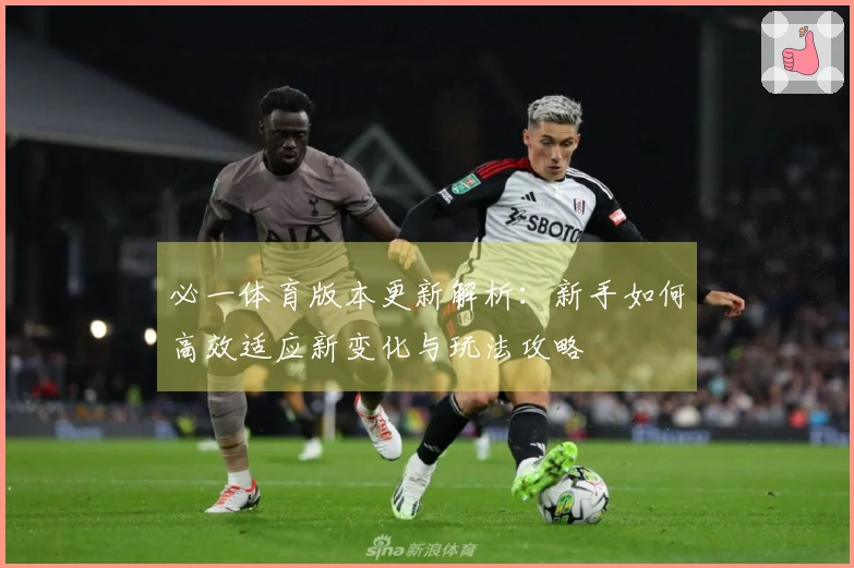 必一体育版本更新解析：新手如何高效适应新变化与玩法攻略