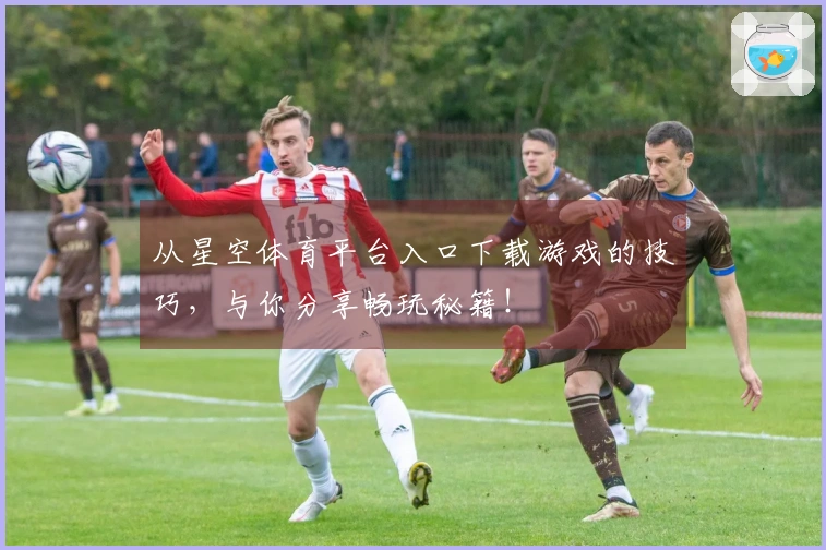 从星空体育平台入口下载游戏的技巧，与你分享畅玩秘籍！